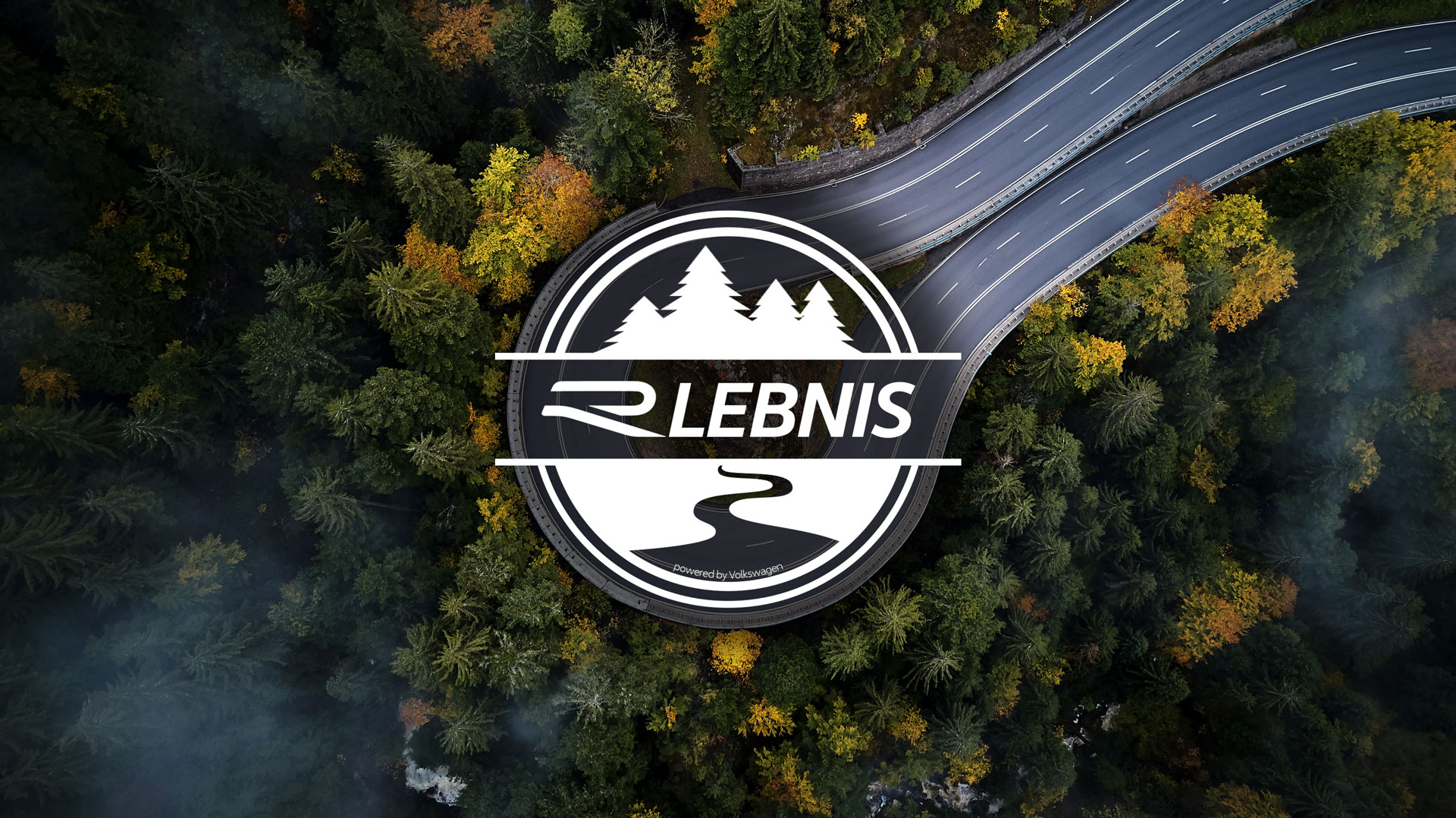 Winding-road-trough-dense-pine-forest