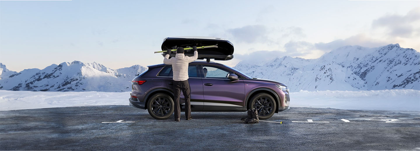 Banner Dachbox
