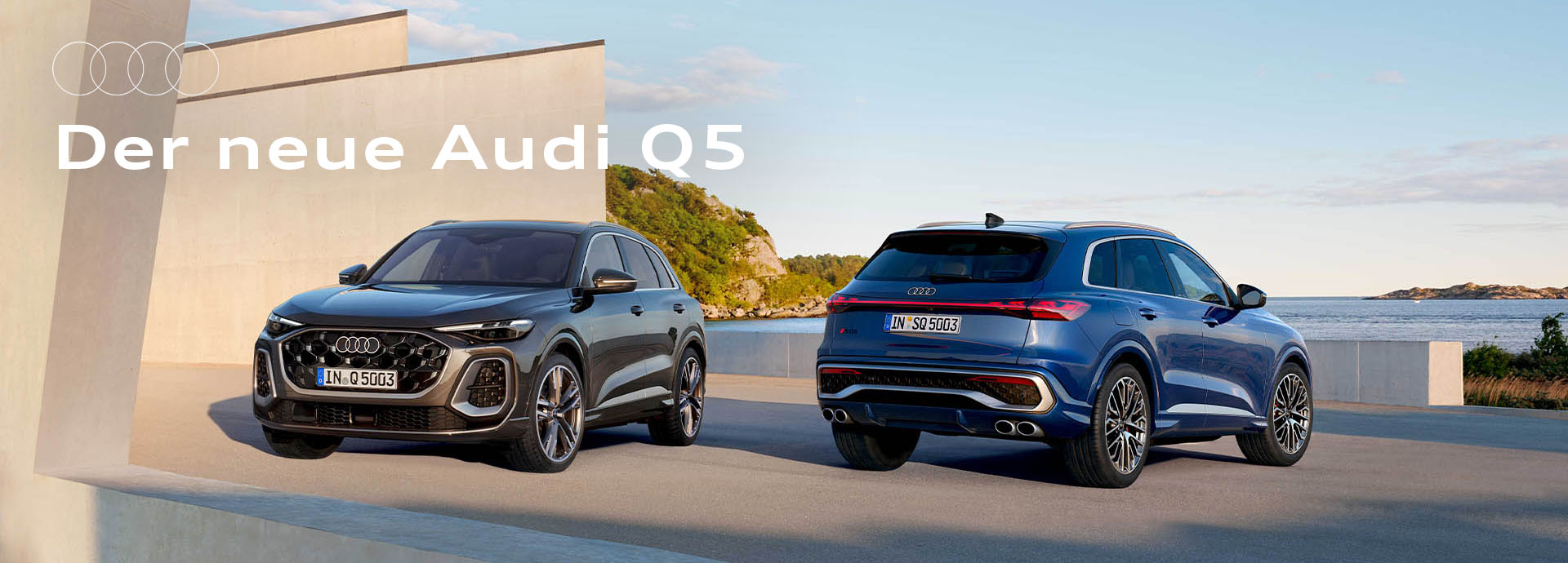Banner Audi Q5 Quer