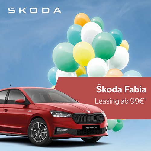 1zu1-Fabia