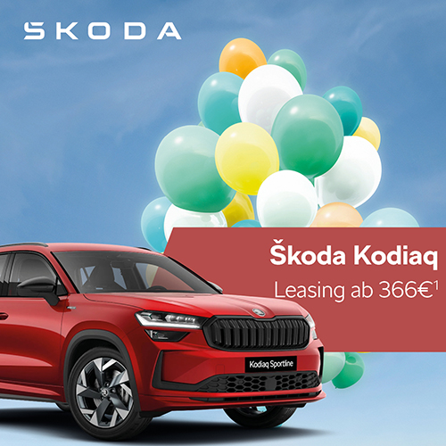 1zu1-Kodiaq