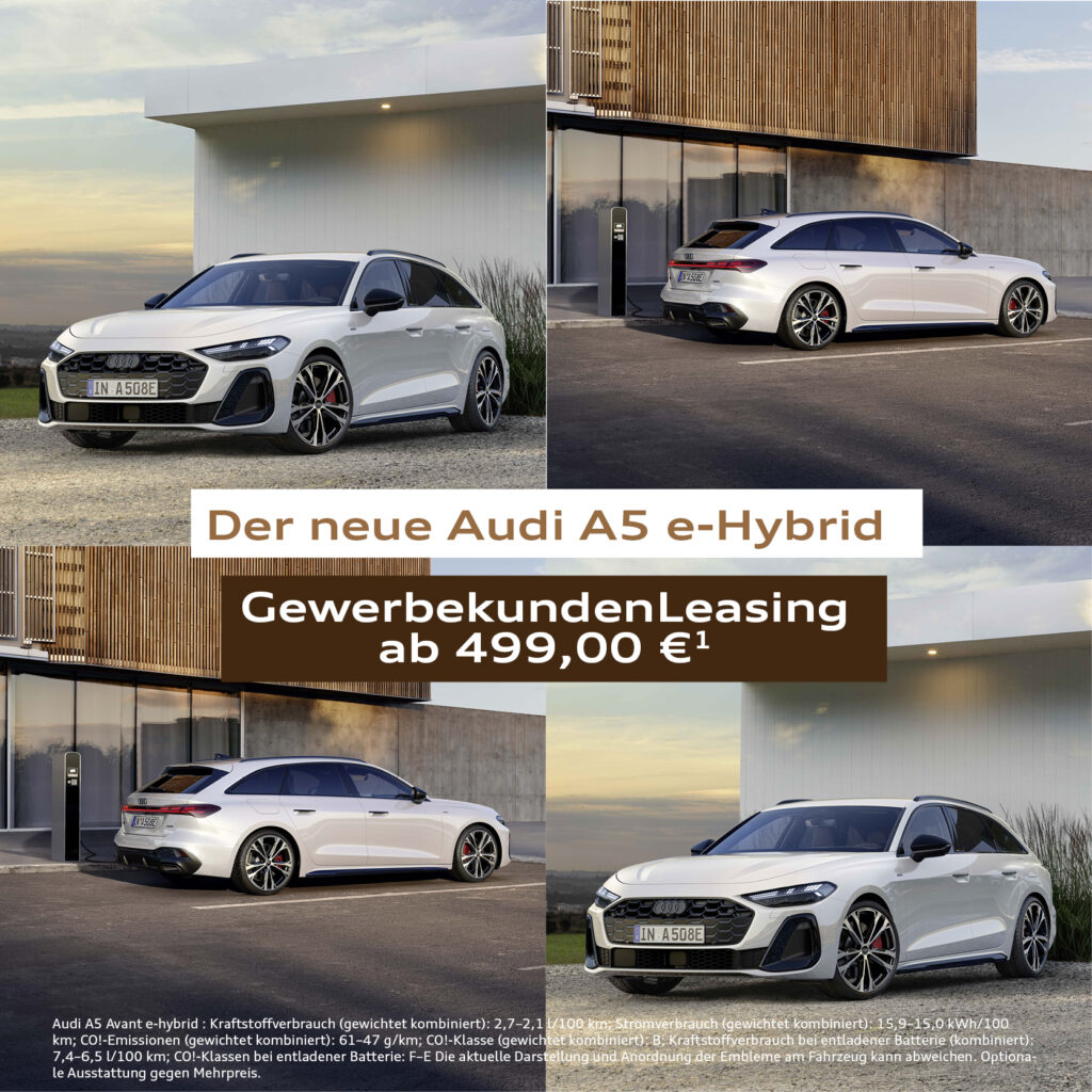 1 zu 1 - A5 hybrid v2