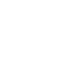 VW Logo Weiß Transparent