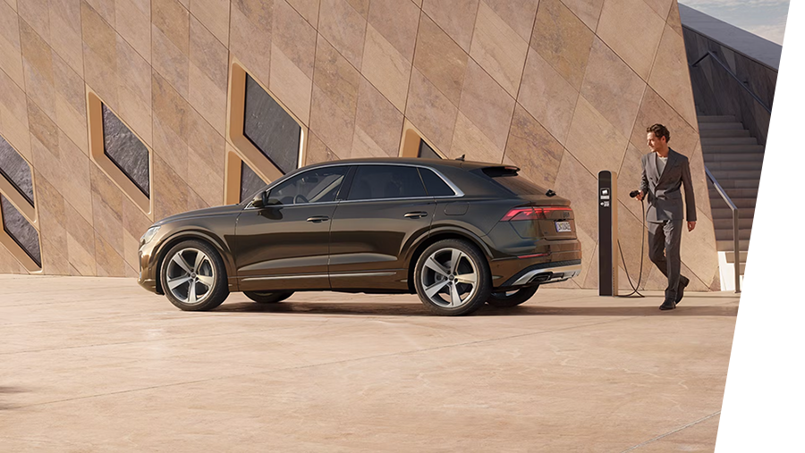 Q8_hybrid Q8_hybrid