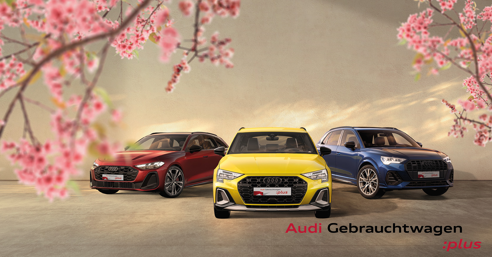 Audi GW Plus Wochen - Spring is in the air - quer