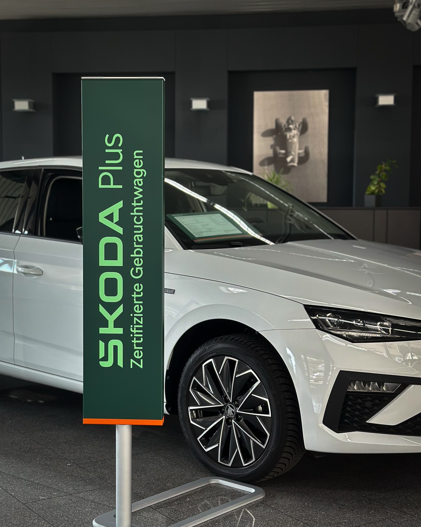 657778441_17862005169615393_2030668463741332508_n Skoda Plus